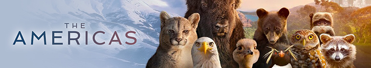 The Americas streaming